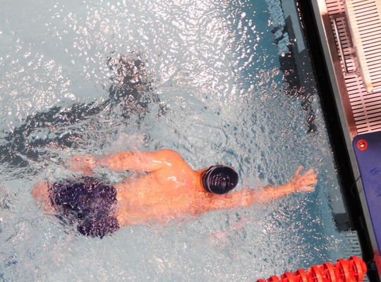swimming-79593_1920